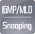 IGMP MLD SNOOPING