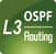 L3 OSPF ROUTING