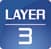 LAYER 3